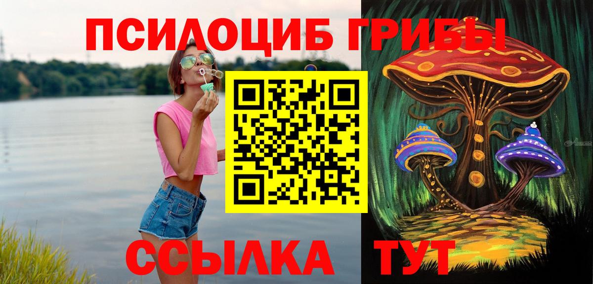Псилоцибиновые грибы GOLDEN TEACHER  Псилоцибиновые грибы прущие грибы  Вход с VPN  Краснокаменск 